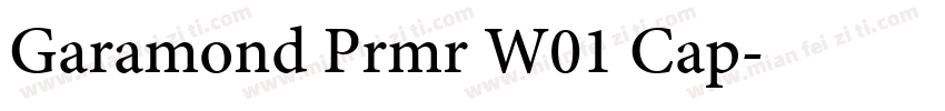 Garamond Prmr W01 Cap字体转换
